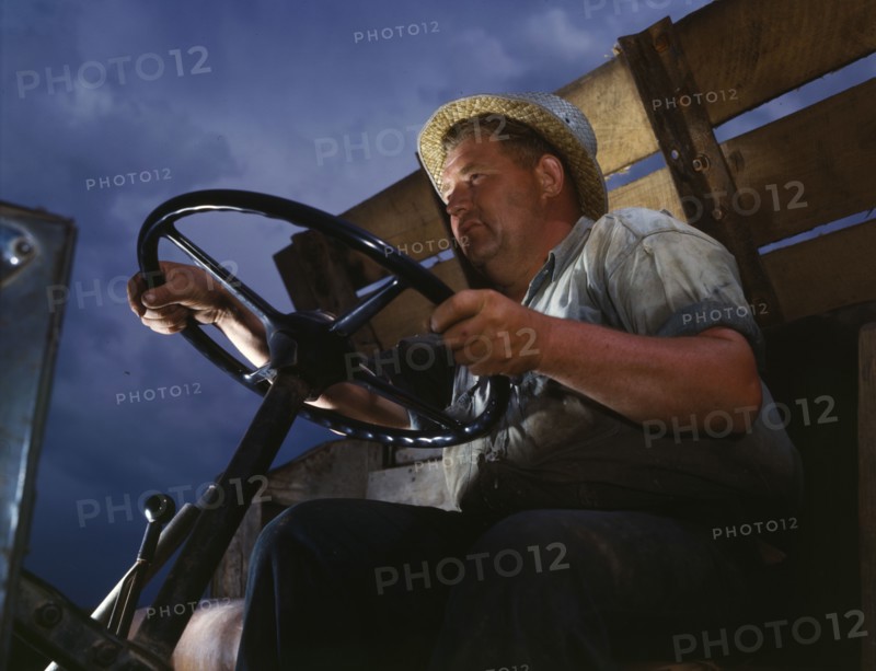 Truck driver at TVA's Douglas Dam, Tennessee, 1942. Creator: Alfred T Palmer.