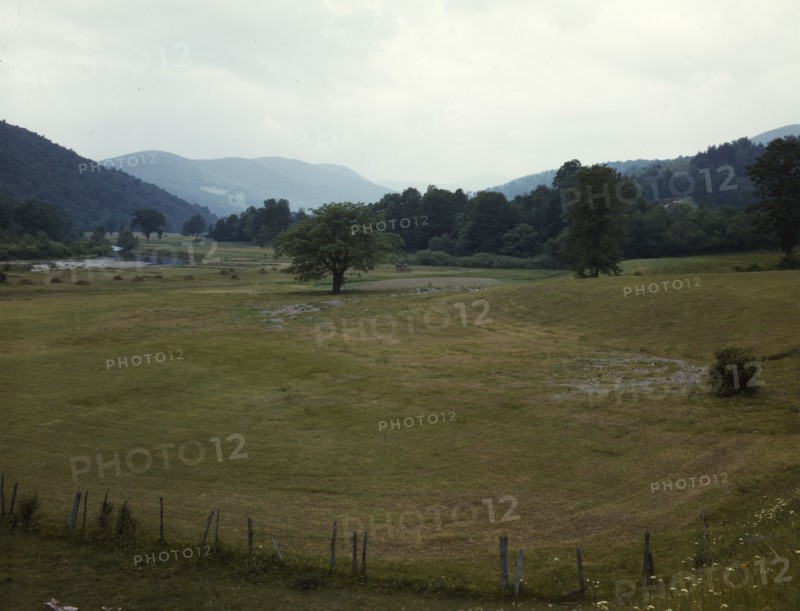 Farmland along the upper Delaware River in New York state, 1943. Creator: John Collier.