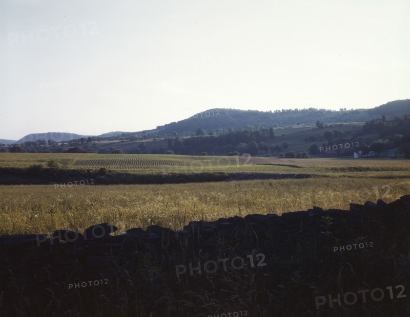 Farmland along the upper Delaware River in New York state., 1943. Creator: John Collier.