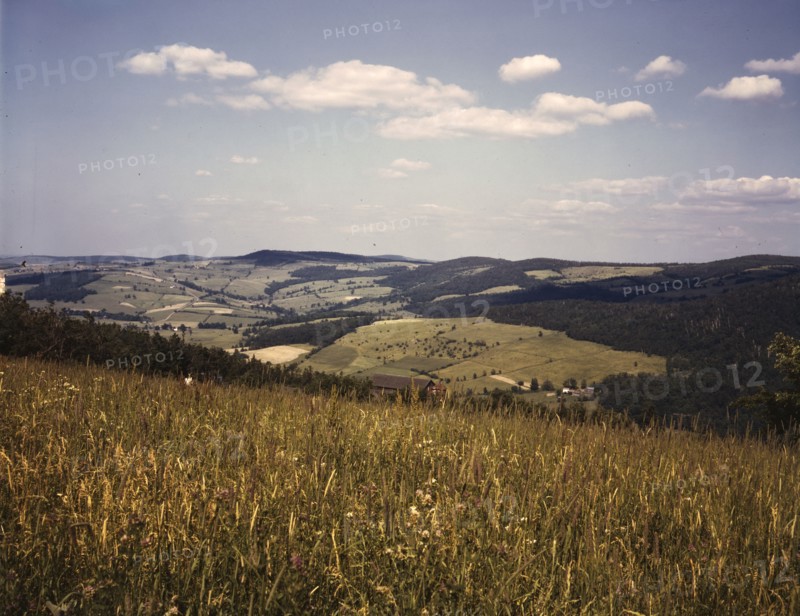 Farmland in the Catskill Mountains, Richmondsville, N.Y., 1943. Creator: John Collier.