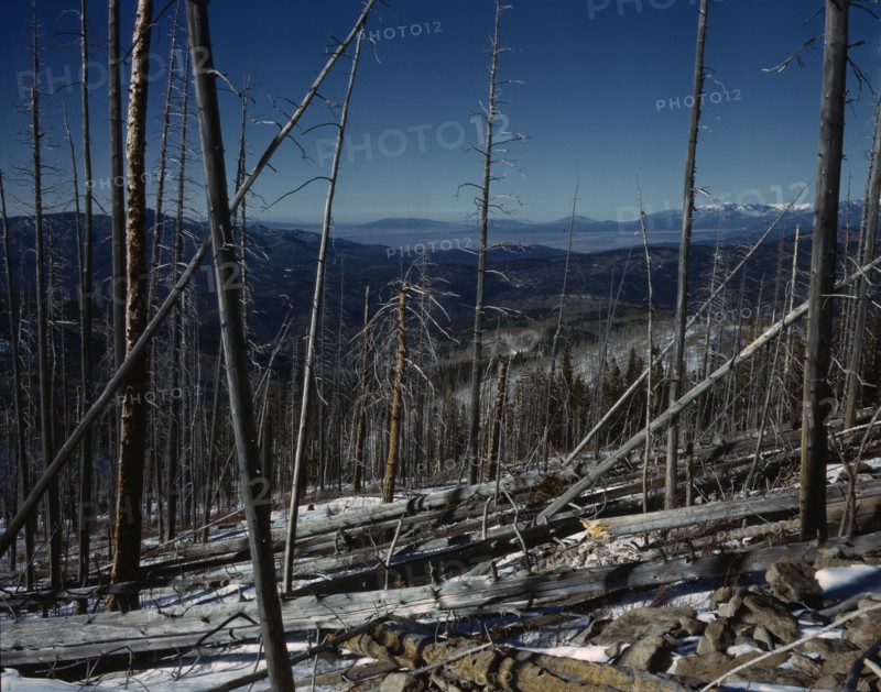 Sangre de Cristo Mountain, New Mexico, 1943. Creator: John Collier.