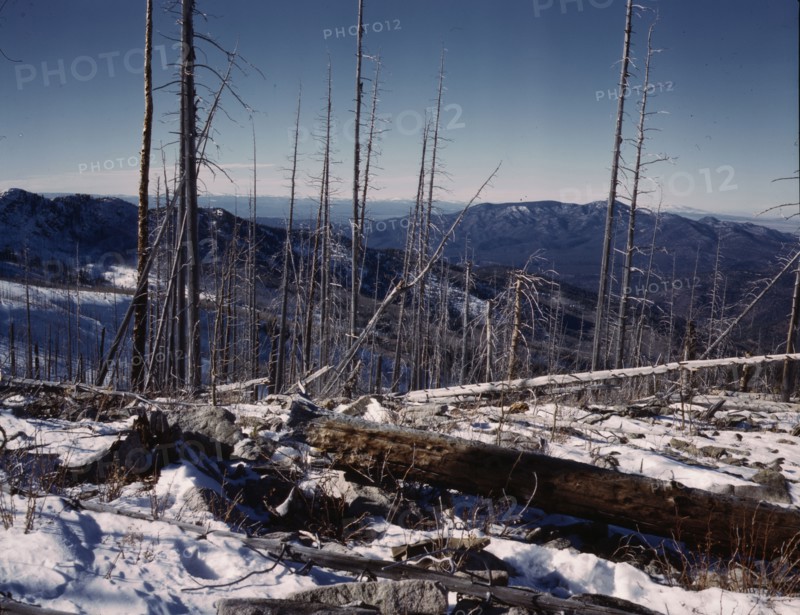 Sangre de Cristo Mt., New Mexico, 1943. Creator: John Collier.