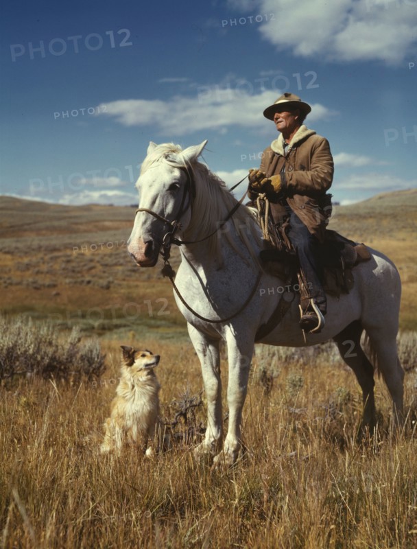 Shepherd with his horse and dog on Gravelly Range, Madison County, Montana, 1942. Creator: Russell Lee.