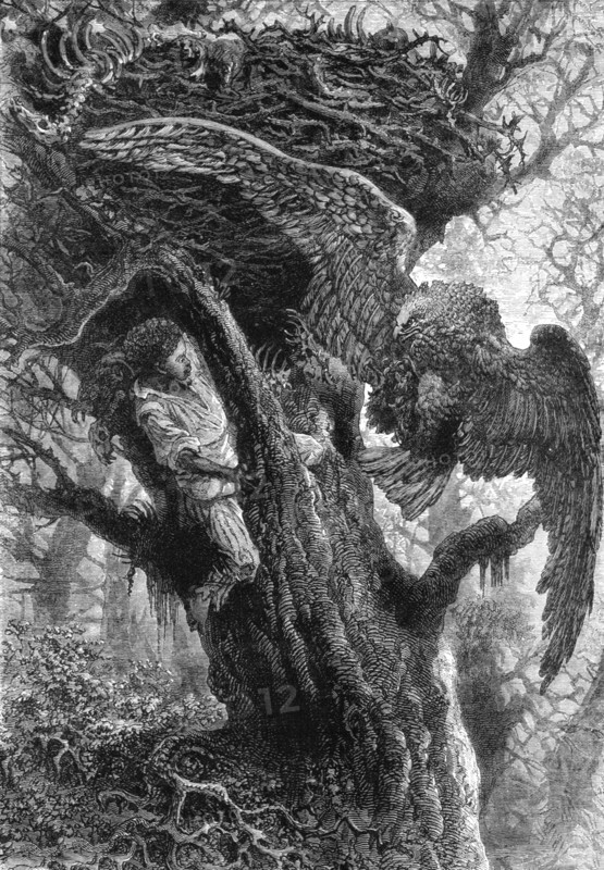 'Dangerous Bird Nesting; A Flying Visit to Florida', 1875. Creator: Thomas Mayne Reid.