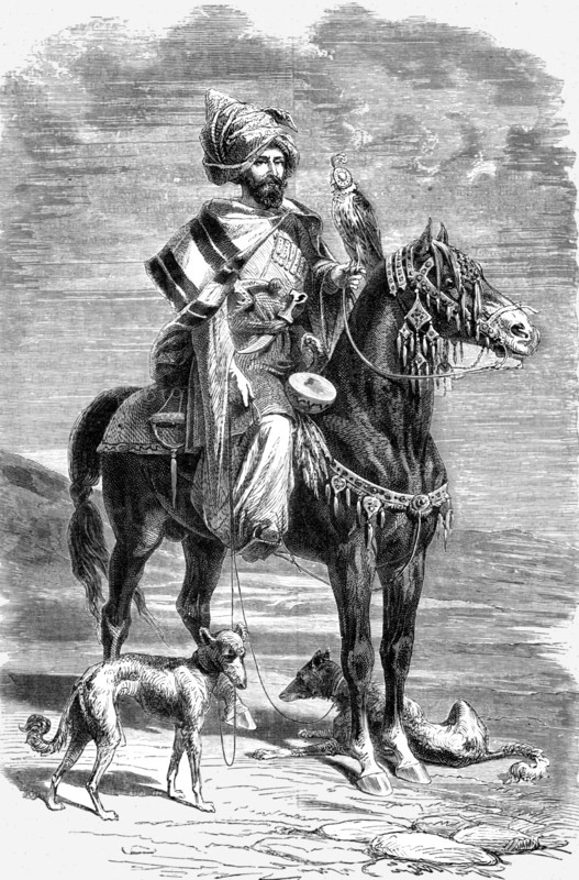 'Falconer, North Persia; A Ramble in Persia', 1875. Creator: Armin Vambery.