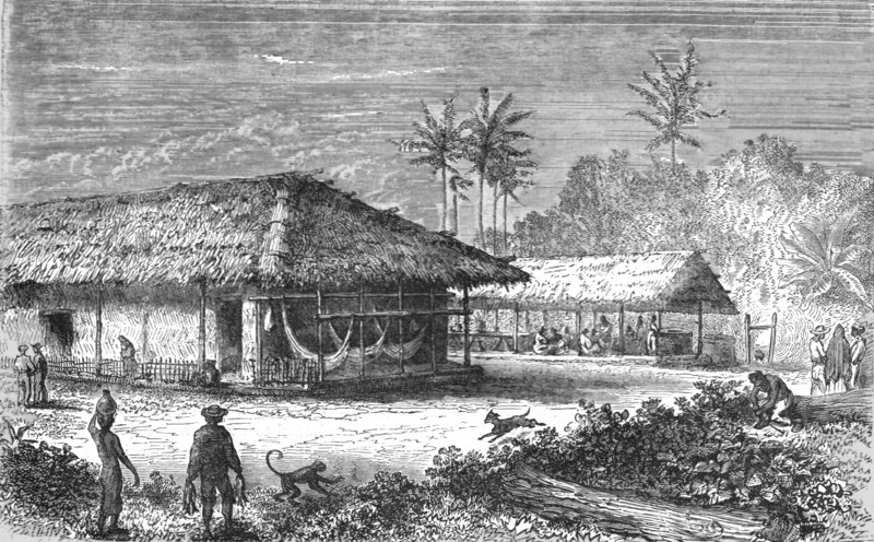 'Farm in Brazil; Rio De Janeiro and the Organ Mountains', 1875. Creator: Thomas Woodbine Hinchliff.