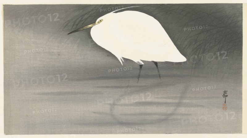 Egret. Private Collection.