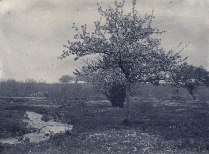 In May, c1900. Creator: Frances S. Allen.