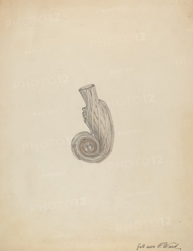 Scent Bottle, c. 1938.