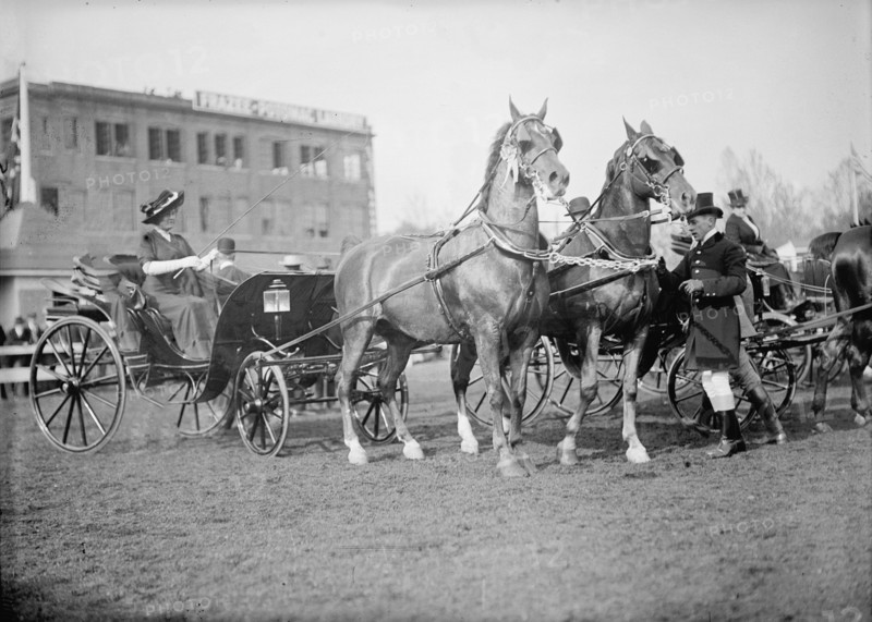 Horse Shows, 1911.
