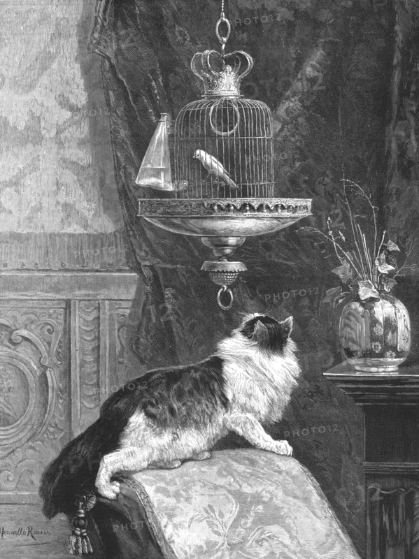 ''A Longing Look'', 1890. Creator: Unknown.