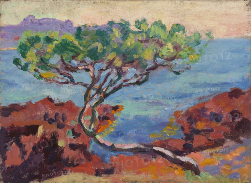 Sea ??landscape.