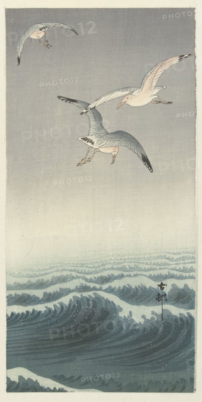 Three gulls. Private Collection.