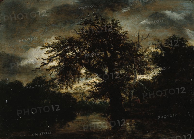 The Old Oak, c1648.