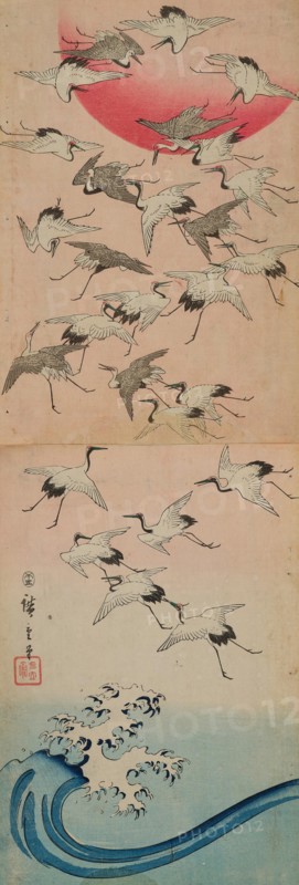 Cranes. Private Collection.