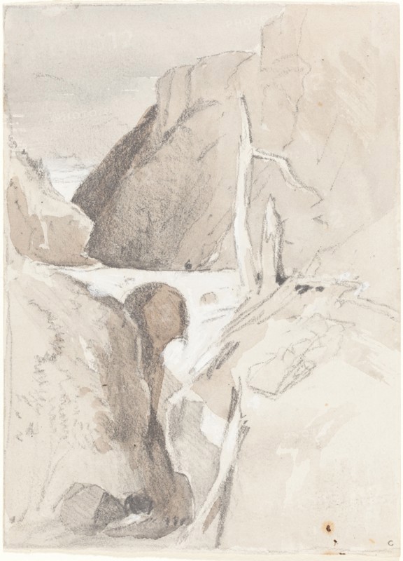 Gorge with Tree Stumps.