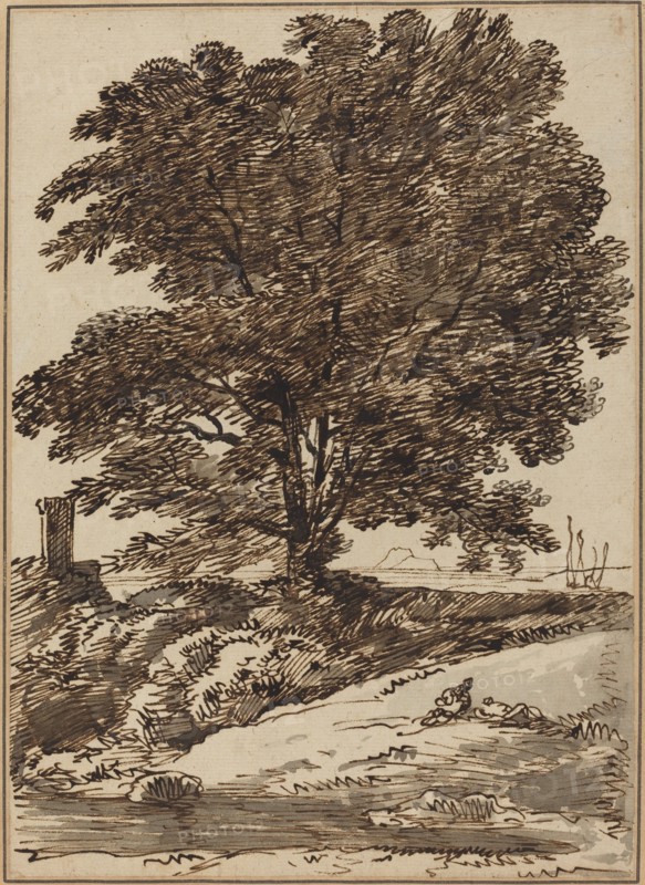 Seacoast with a Great Tree.