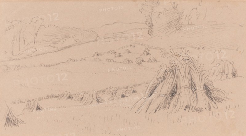 The Harvest Field, c. 1860. Creator: John Linnell the Elder.