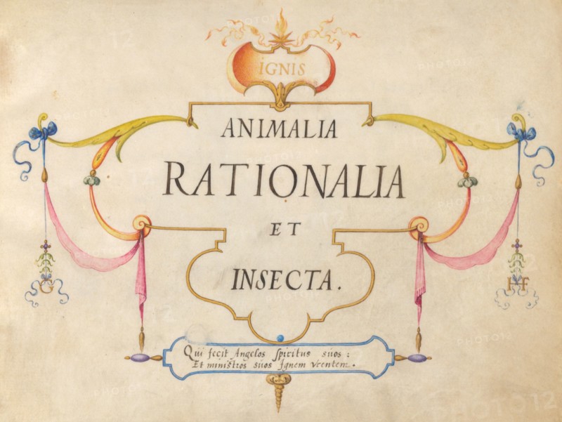 Title Page, c. 1575/1580.