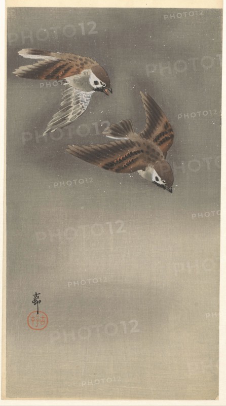 Sparrows in snow. Private Collection.