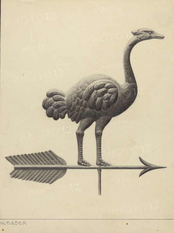 Ostrich Weather Vane, c. 1937.