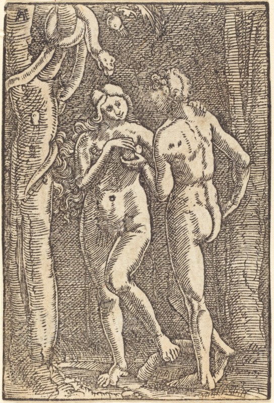The Fall of Man, c. 1513.