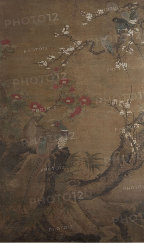 Pheasants and camellias,  1700-1800.