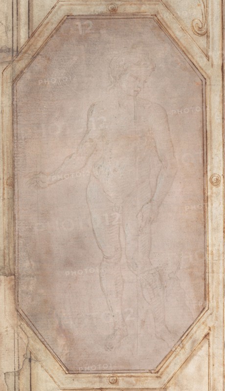 Standing Nude Youth, c. 1496.