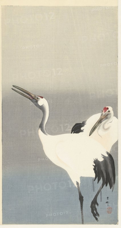 Two cranes, 1920-1930. Private Collection.