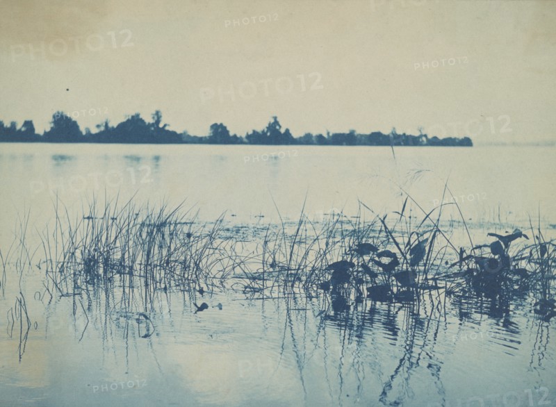 Potomac River, c1898. Creator: Frances Benjamin Johnston.