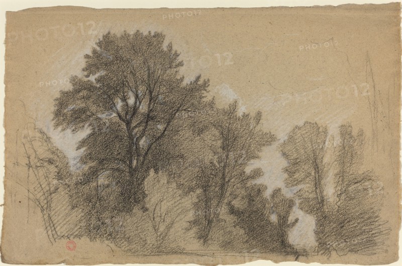 Edge of a Wood, c. 1840.