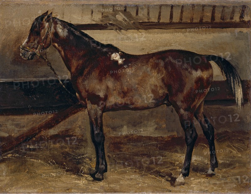 Brown horse in a stable, 1818.