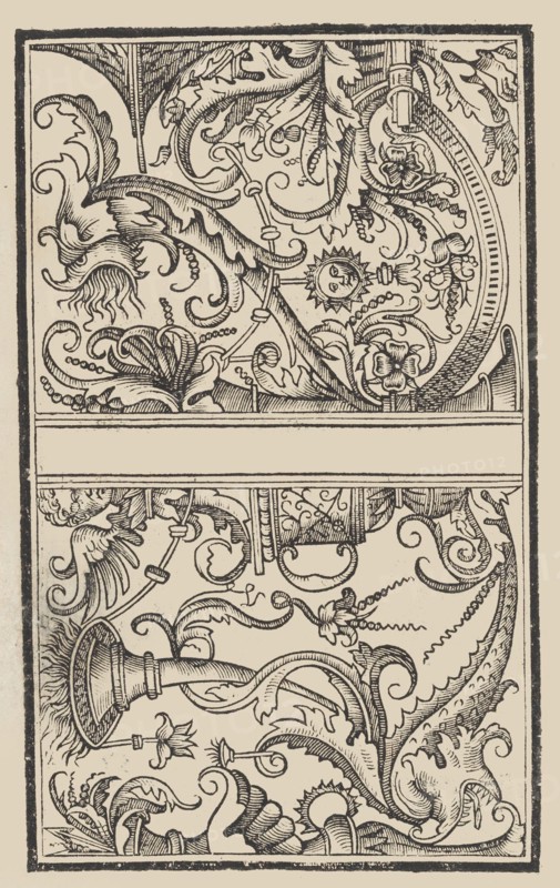 Trionfo Di Virtu. Libro Novo., 1563.