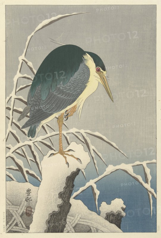 Heron in snow, 1920-1930. Private Collection.