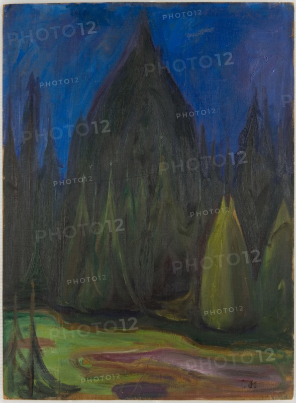 Dark Spruce Forest, 1899. Creator: Munch, Edvard (1863-1944).