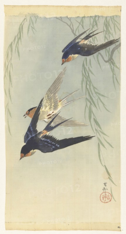 Three birds in full flight. Private Collection.