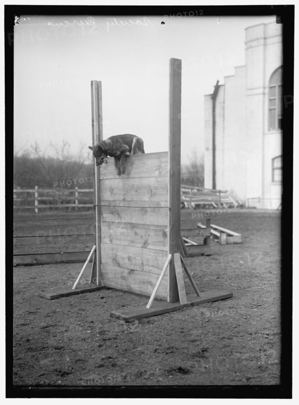 Society Circus, between 1909 and 1923.