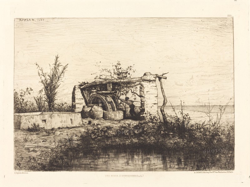Une moria a Bordiquier (Italie), 1873.