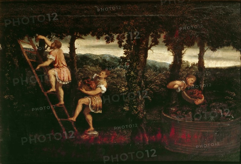 The grape harvest, c. 1550. Creator: Bordone, Paris (1500-1571).