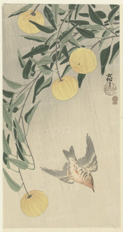 Cuckoo in the rain, 1900-1910. Private Collection.