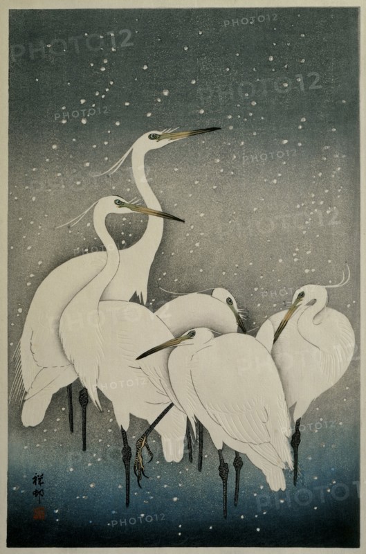 Egrets in the snow, 1925-1936. Private Collection.