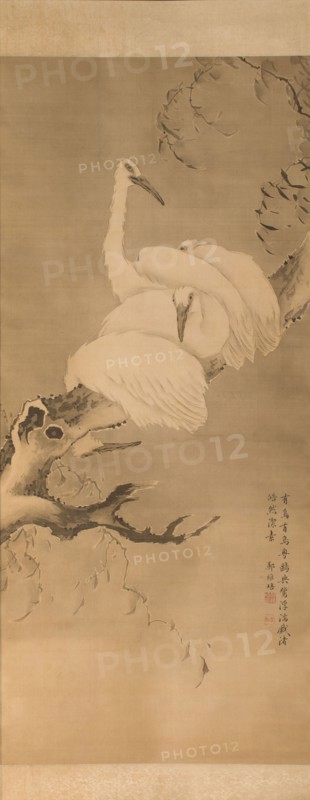 Four egrets on a branch, between 1730 and 1740.