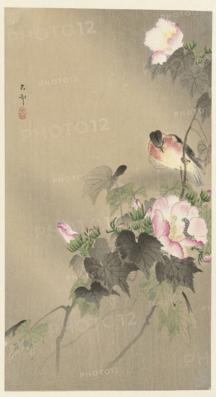 Bird and caterpillar, 1920-1930. Private Collection.