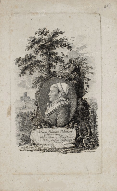 Poet Johanne Juliane Schubert (1776-1864), 1810. Private Collection.