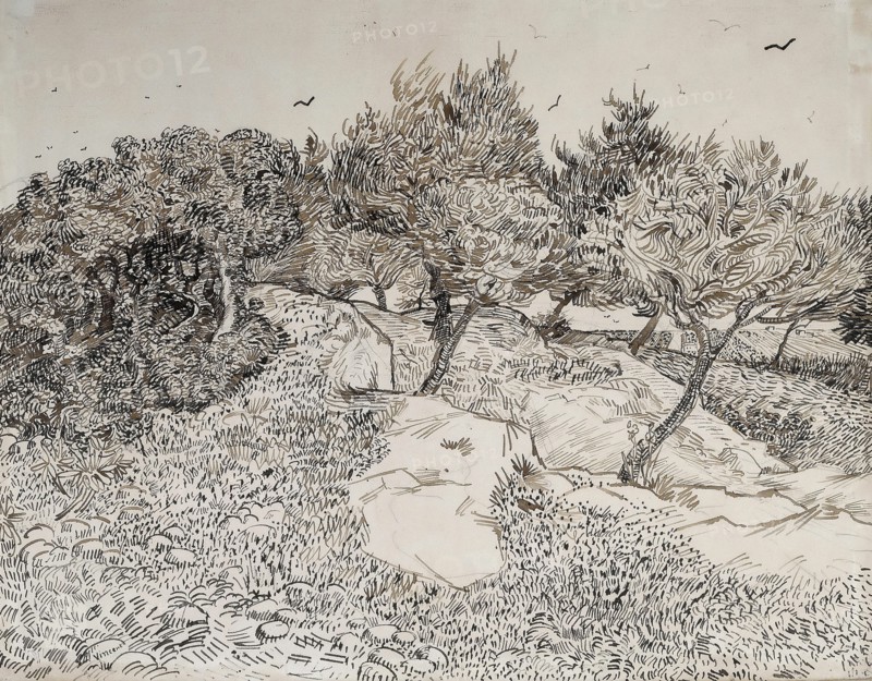 Oliviers à Montmajour, 1888. Creator: Gogh, Vincent, van (1853-1890).