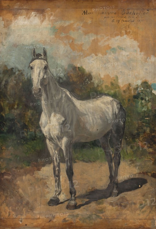 Bachelor, artist's horse, 1871.