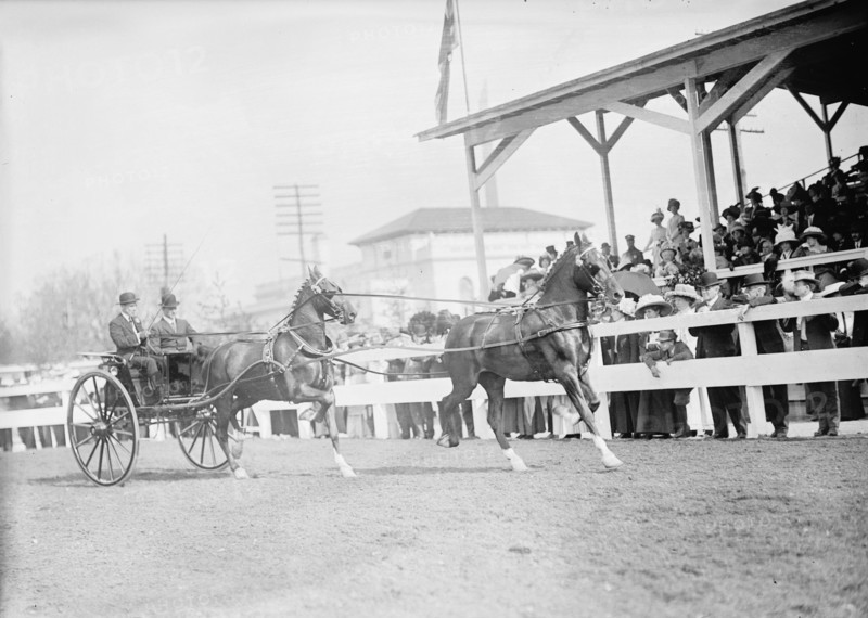 Horse Shows - John Roll Mclean Entries, 1911.