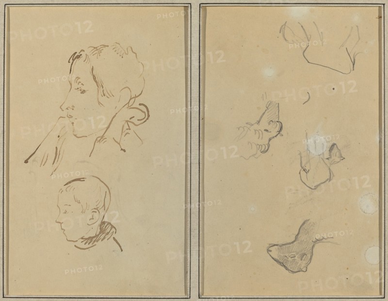 Two Heads; Studies of Sheep [recto], 1884-1888.