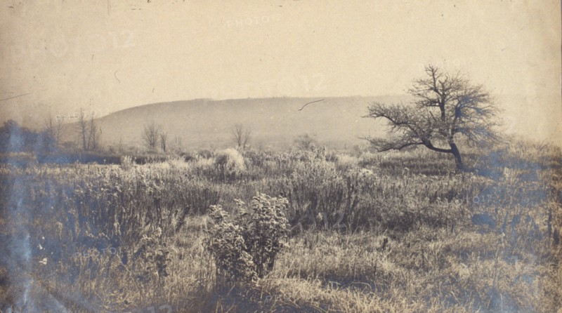 Landscape of a field with hill in background, c1900.