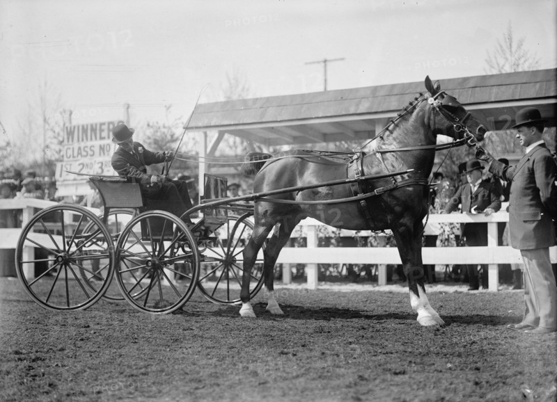 Horse Shows. Unidentified Men, Driving, 1911.